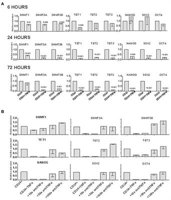 Blockade of TNFα to Improve Human CD34+ Cell Repopulating Activity in Allogeneic Stem Cell Transplantation